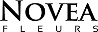 Novea Fleurs à Esch-sur-Alzette et Dudelange - Votre fleuriste en fleurs coupées et plantes fleuries au Luxembourg